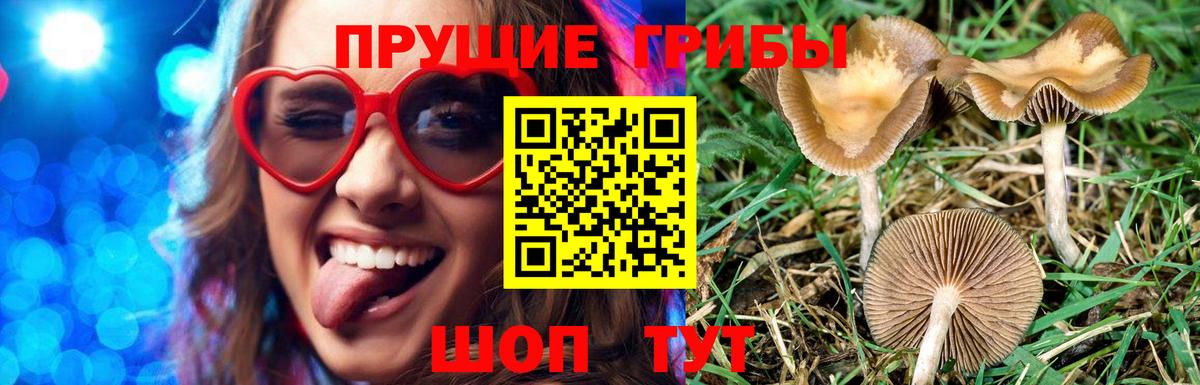 Галлюциногенные грибы Magic Shrooms Урай
