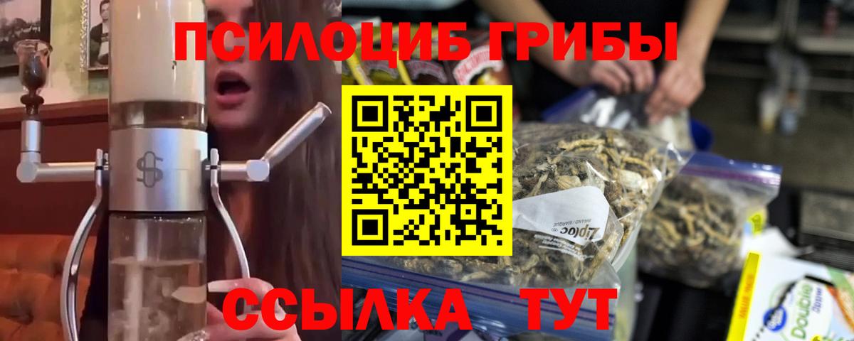 Урай  Псилоцибиновые грибы Psilocybe  Вход с VPN 